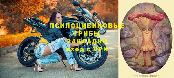 трава Арсеньев