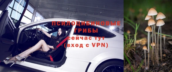 соль ск Аркадак
